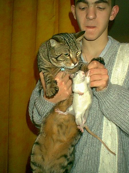 titus et mr rat