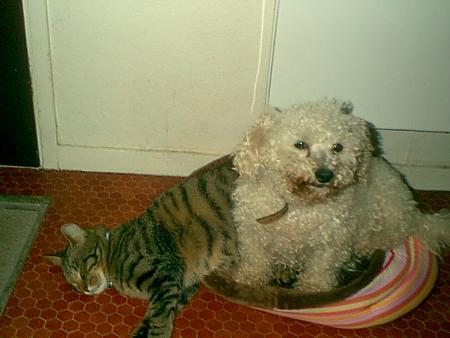 titus et prisca